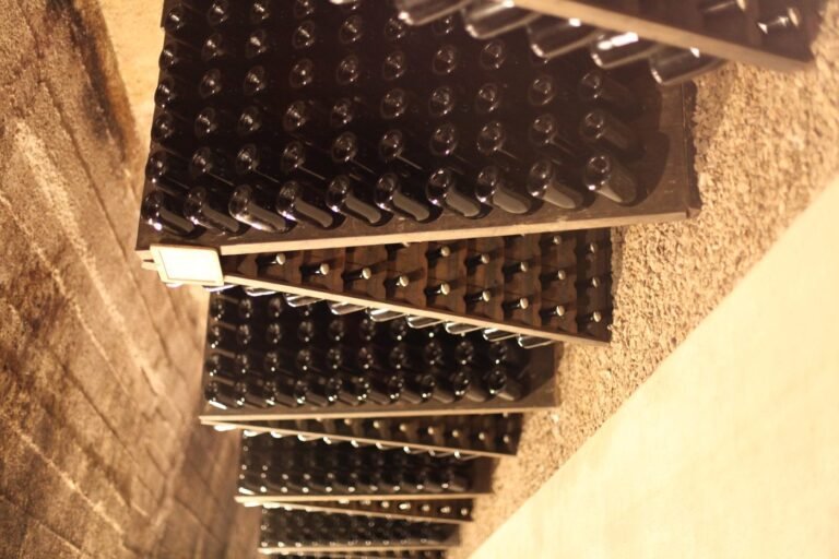Das breite Spektrum von Mauler & Cie SA: Von Pét Nat bis Cuvée Prestige Brut
